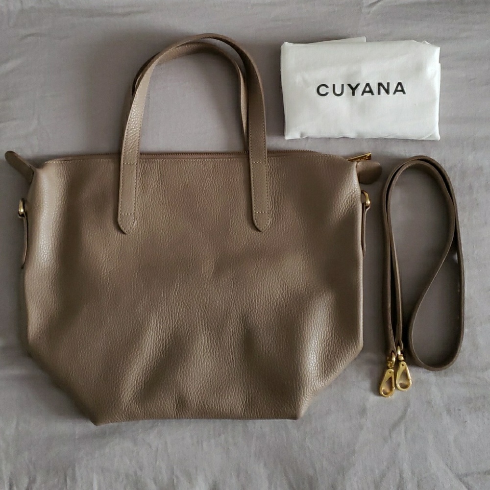 Cuyana Small Carryall Tote